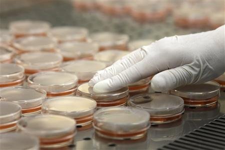 Le bilan de l épidémie de bactérie E coli porté à 30 morts